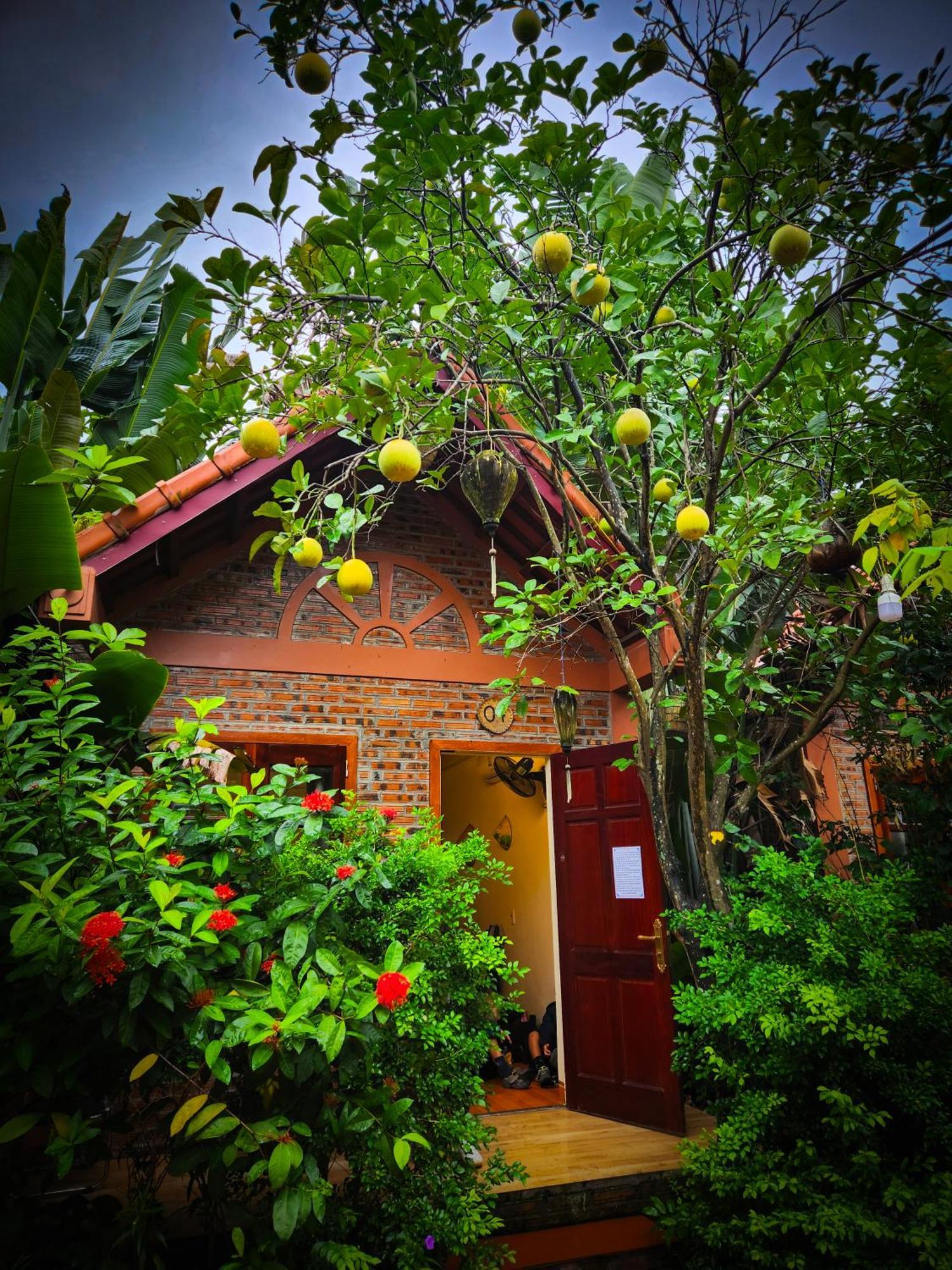 Trang An Village Homestay Ninh Bình Exteriör bild